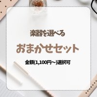 楽器を選べるおまかせセット　金額(1,100円〜)選択可　◇ゆうパケット発送可